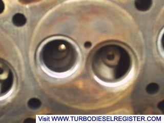 stock head