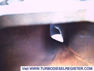 stock head
