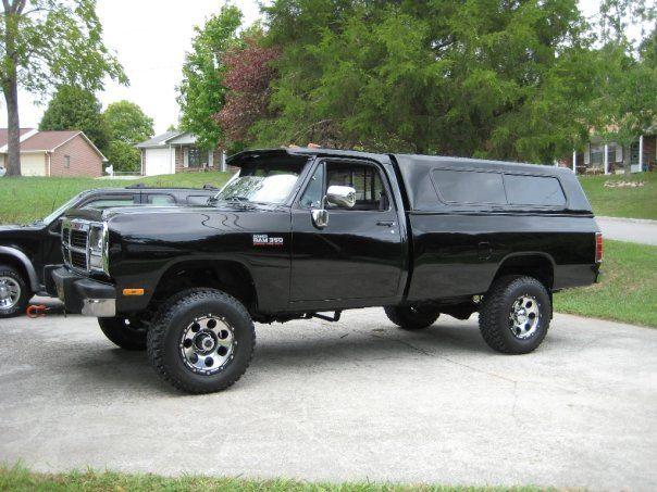 TN Black Beauty