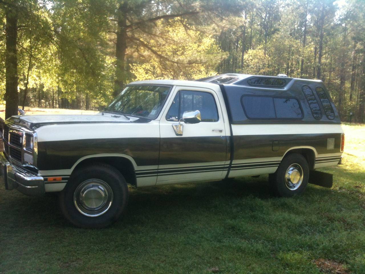 Truck_and_Trees