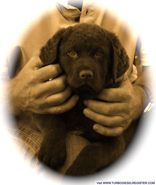 tucker   2011-