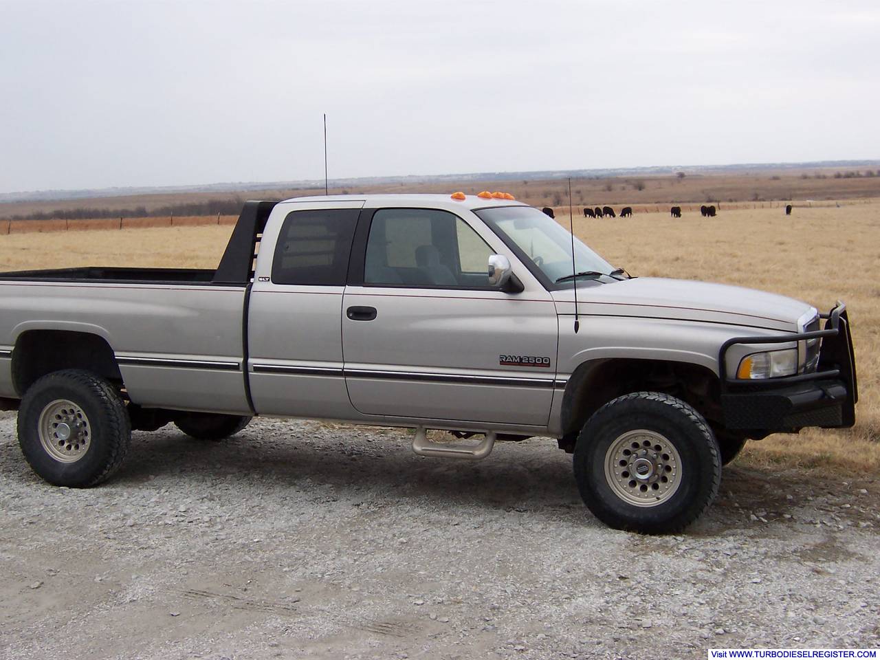 Wife's '97
